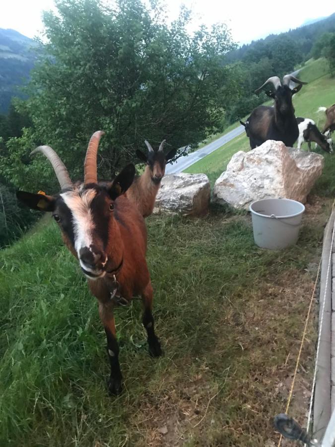 Apartmany Lend Buitenkant foto