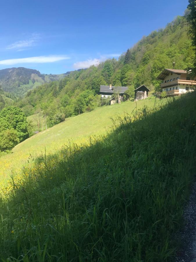 Apartmany Lend Buitenkant foto